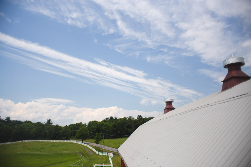 mollie & brad's friedman farms wedding 034