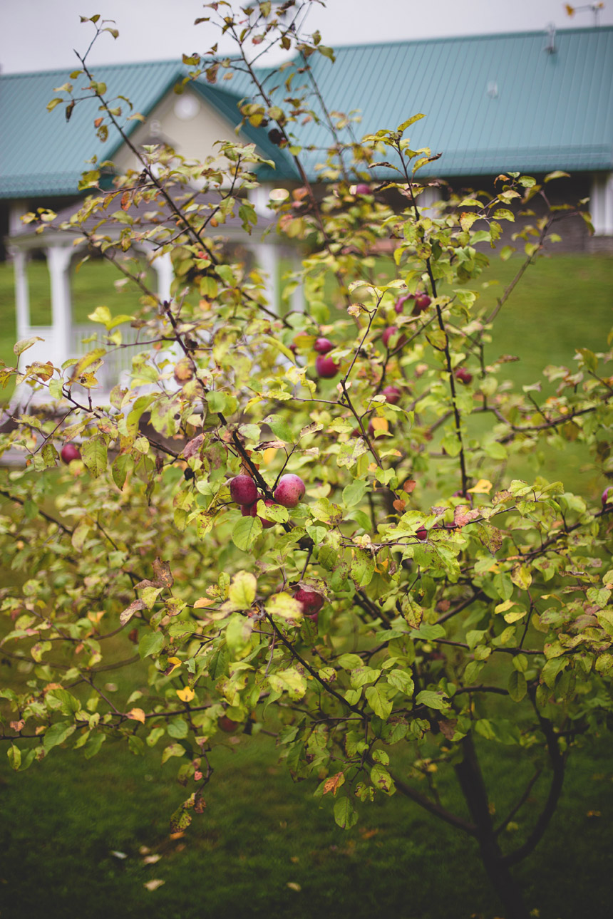 kari_eric_wedding_moffat_estate 005