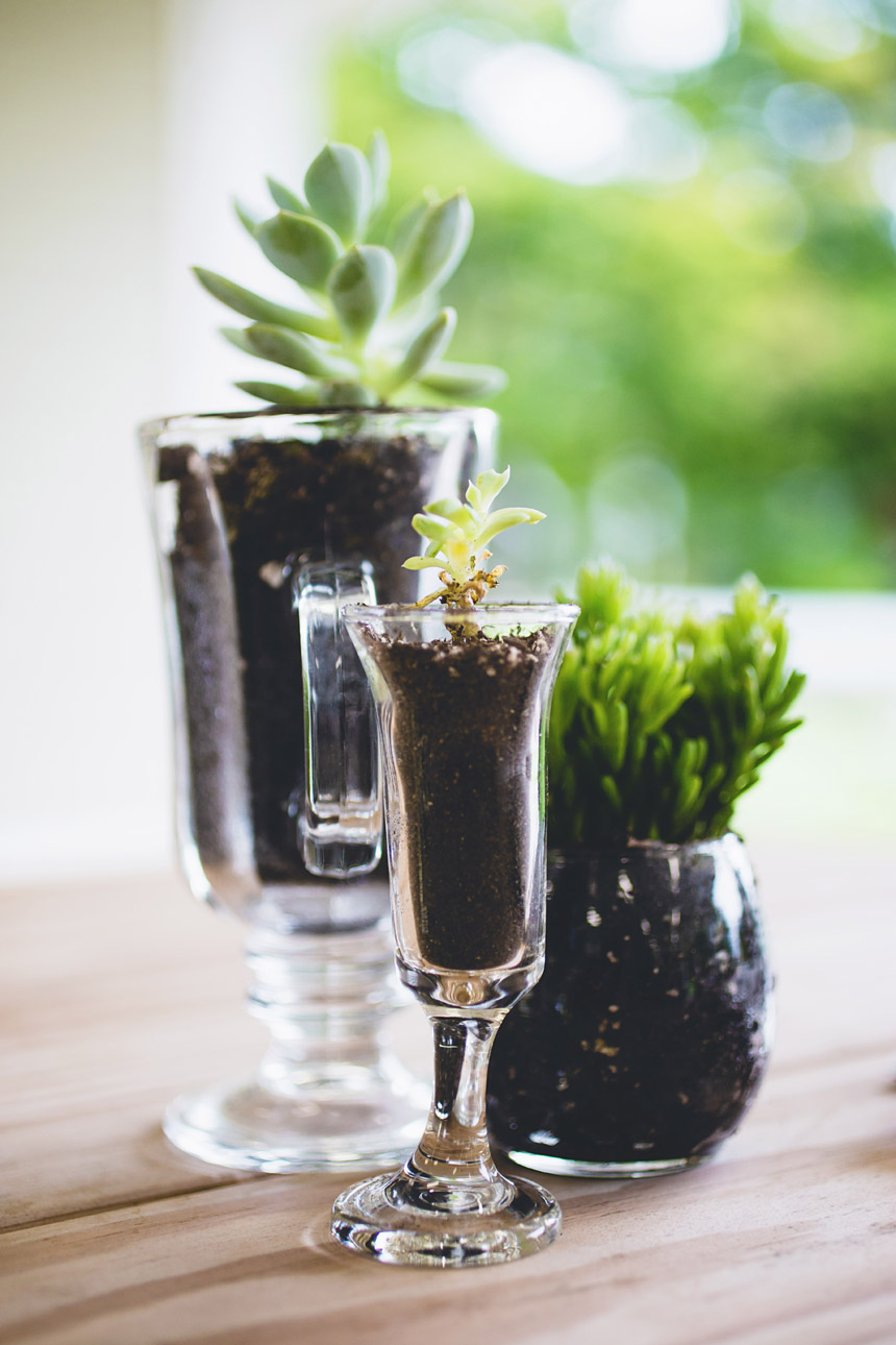 kari_eric_wedding_moffat_estate 012