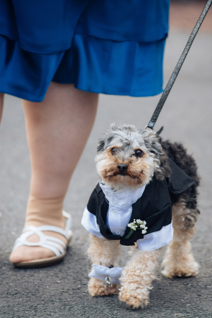 Jessica & Russell Scranton Wedding Photography 029