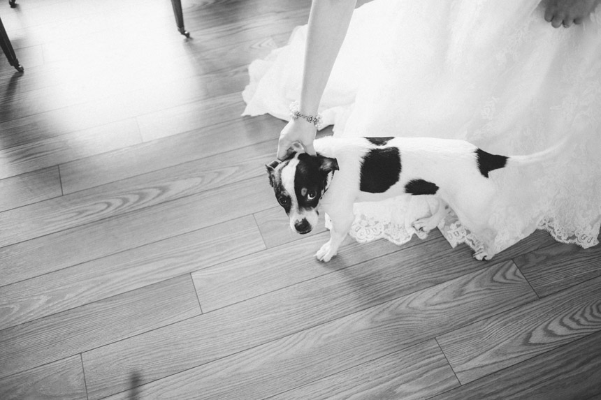 Tiffany & Brian Glenmaura Scranton Wedding Photography 016